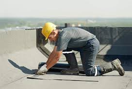 Best Roof Moss and Algae Removal  in Riddle, OR